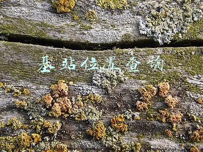 基站位置查询