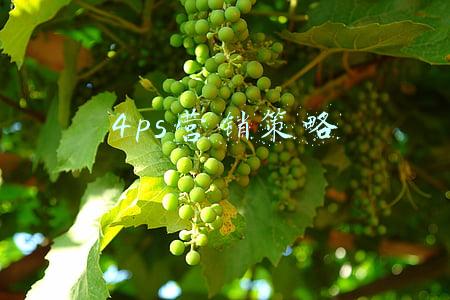 4ps营销策略