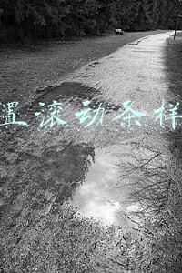 设置滚动条样式