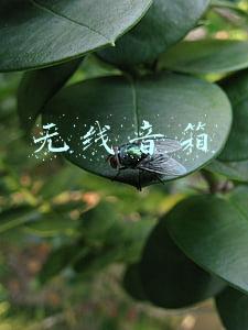 无线音箱怎么连接电脑主机(PC台式机如何连接蓝牙耳机音箱？有TA轻松搞定，附图文操作教程)