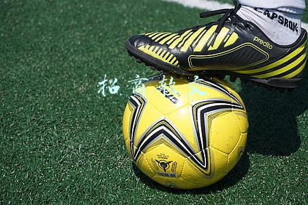 招商软文范例(招商加盟类型的软文该怎么写呢？)