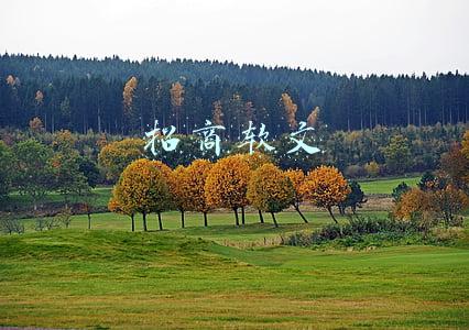 招商软文怎么写吸引人(招商软文怎样写作才会更加地吸引读者从而达成转化)