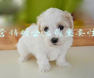 企业vi的重要性(创意者丨集团VI设计的重要性，你真的知道吗？)