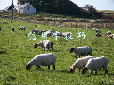 申请信用卡技巧(新手必备 最新信用卡申请技巧)
