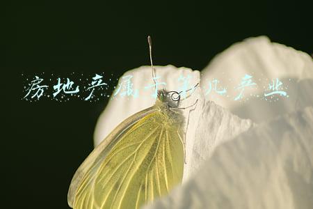 房地产属于第几产业投资(房地产行业专题研究：房地产行业及产业链对GDP的影响分析)