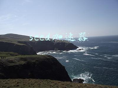 seed加速器安卓下载(坦克MPV、比亚迪超跑......这些车造了一定火)
