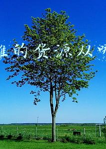 摆地摊的货源从哪里批发