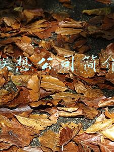 联想公司简介