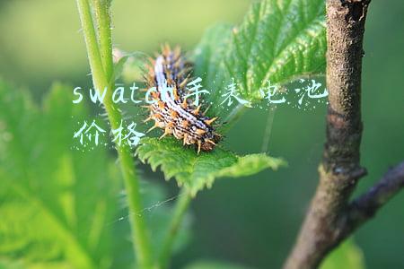 swatch手表电池价格