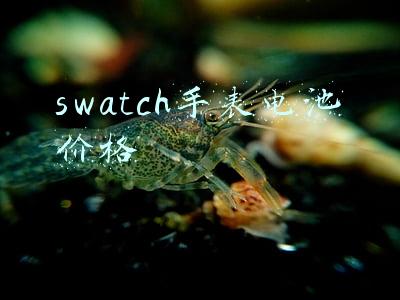 swatch手表电池价格