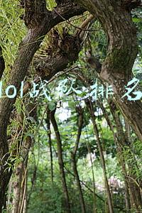 lol战队排名2019(外媒公布2022全球战队排名：LPL六支队伍进入前十，EDG第一名)