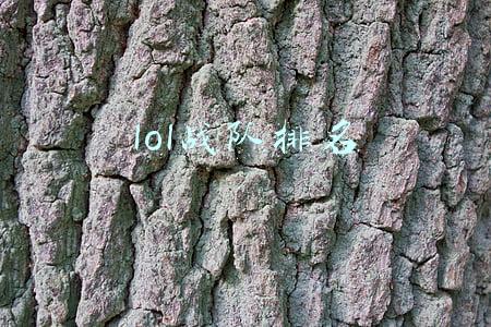 lol战队排名