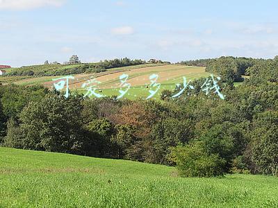 可爱多多少钱一个冰淇淋(热搜第一！66元/支，你爱要不要？)