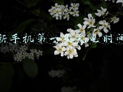 新手机第一次充电时间长(华为手机第一次充电充多久？其实你走入了一个误区)