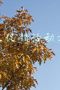 餐饮促销活动方案