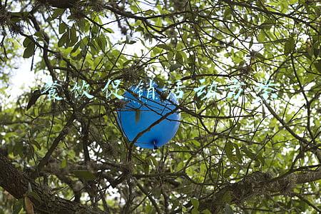 餐饮促销活动方案