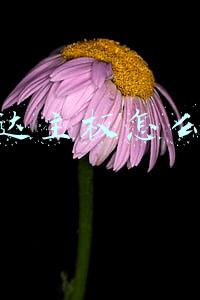 昂达主板怎么样