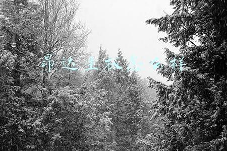 昂达主板怎么样