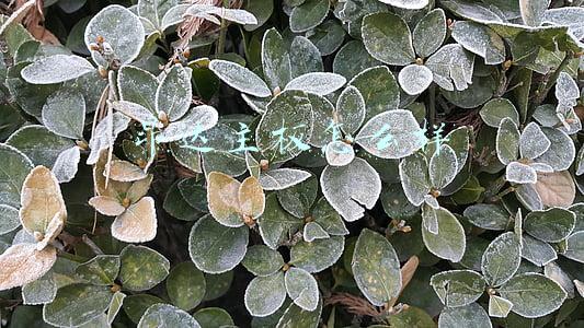 昂达主板怎么样