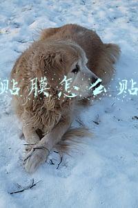 曲面屏贴膜怎么贴(手机曲面屏贴什么膜才好？有6种膜，你喜欢哪种？)