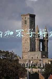 qq加不了好友怎么回事(QQ好友删除如何找回)