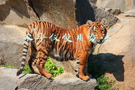 红外线水平仪使用方法(寿命长久的办法（红外线水平仪）)