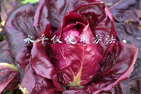 汽车水平仪使用方法(日本RSK框式水平仪使用方法)