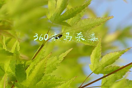 360木马杀毒