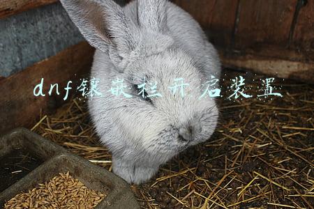 DNF镶嵌栏开启装置怎么获得(DNF：回归玩家来不及了解版本？现阶段强势职业推荐)