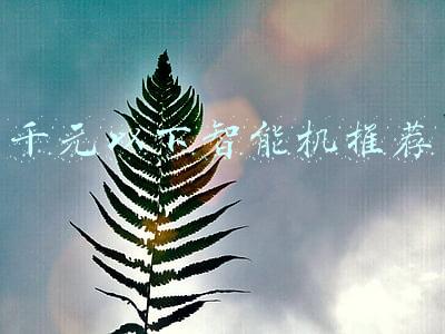 千元以下智能机推荐