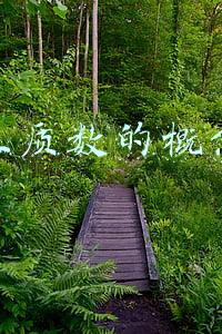 互质数的概念及解释(质数、合数与分解质因数的定义与方法（26）)