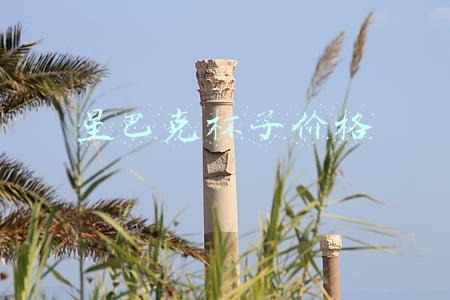 星巴克杯子价格