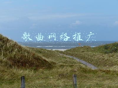 推广一首歌怎么推广呢(68.做一个优秀歌曲的发现者、推广者、首唱者)