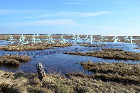 如何暂时关闭迈克菲杀毒软件(硅谷老流氓狱中自杀？曾嗑药贩毒、妻妾成群，“杀毒软件之父”带走几多罪恶)