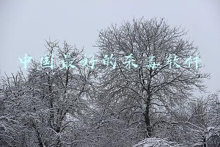 中国最好的杀毒软件