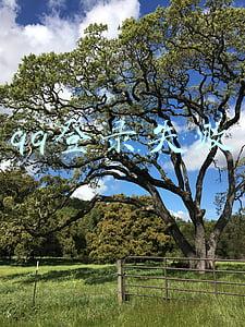 qq登录失败00001(建行四川省分行：为群众响应“急难愁盼”，办实事履践“学史力行”)