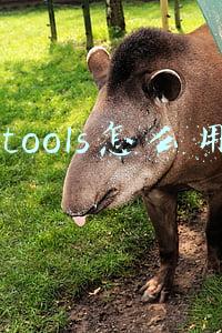 itools怎么用