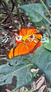 九格魔方口诀图解(数字九宫格的秘密)