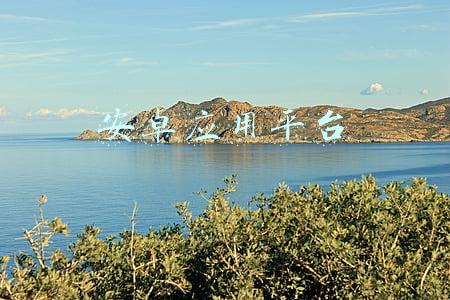 安卓应用平台 知乎(知乎app下架7天 皆因管理不严传播违法违规信息)