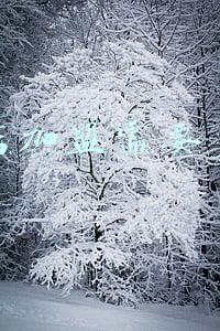 烧烤店加盟费一般多少钱_烧烤店加盟需要多少钱2019-10-101403阅读