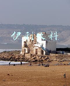伊利饮料