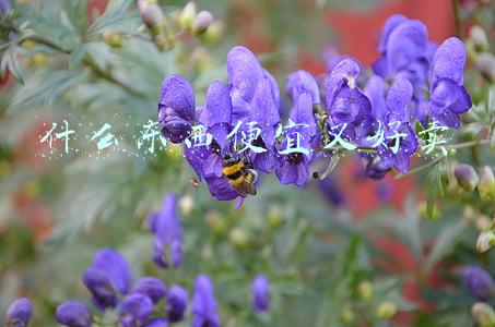 什么东西越贵越好卖(白酒销售3大玄机：明明90%的都是酒精酒，为何还越贵越好卖？)