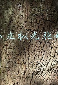什么虚拟光驱好用