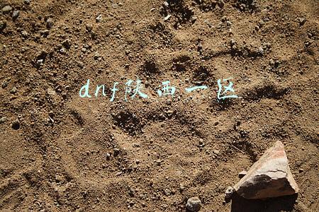 dnf陕西一区金币比例(DNF：萌勒勒礼包太丑不买？看各大跨区的金币比例，真香！)