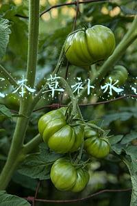 相宜本草补水面膜用完要水洗吗(学生党也能用的平价国产面膜大测评)