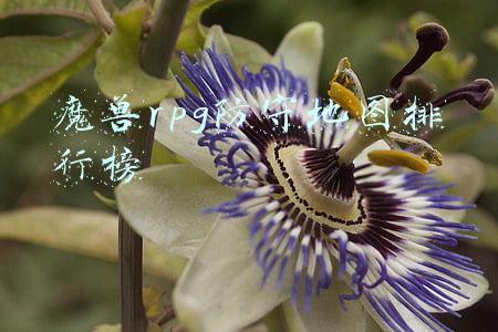 魔兽rpg防守地图排行榜2020(魔兽争霸3：最经典的5大RPG地图，你通宵玩过几个？)