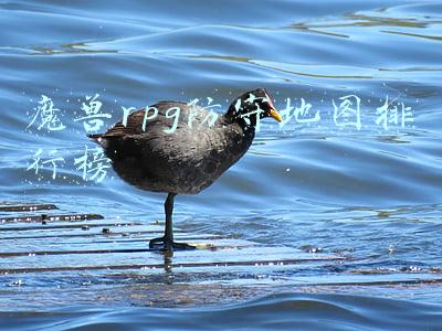 魔兽争霸rpg防守地图排行(它们曾红极一时！细数《魔兽争霸3》十大RPG地图)