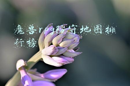 魔兽rpg防守地图哪个好玩(英雄无敌3追随神迹RPG防守地图——守卫家园)