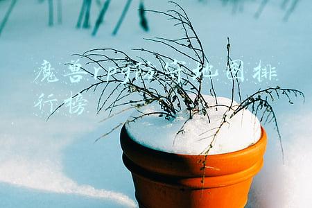 魔兽防守地图推荐(头铁玩家也为之头疼的防守地图 真正意义上的难度天花板)