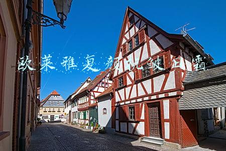 欧莱雅复颜抗皱日霜